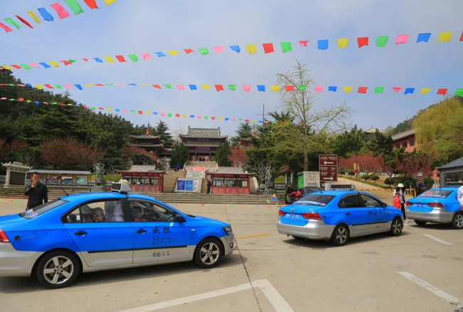 威海赤山出租车司机免费公益活动提前预告樱花之美